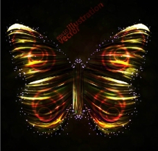 光线蝴蝶花纹图片