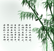 竹子桌面图片