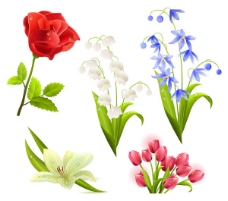 5种漂亮花卉素材