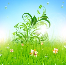 绿色草地上的花朵