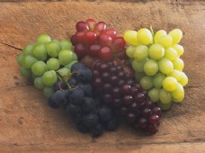 水果大全水果水果图水果图片大全葡萄