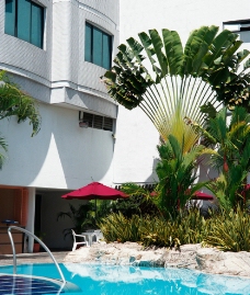 超五星级酒店游泳池图片