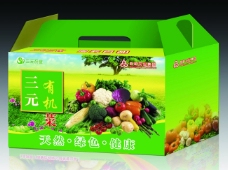 礼品包装蔬菜包装盒蔬菜礼品盒