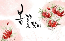 韩国鲜花背景图片