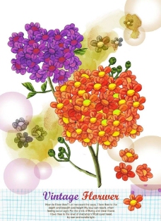 鲜花花朵背景设计图片