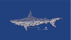 鲨鱼背景图片