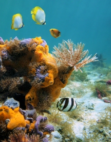 水族世界水族馆海底世界图片