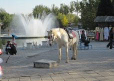 喷泉景观白马喷泉旅游景观图片