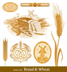 复古小麦食品手绘vi