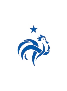 国足世界部分国家足球队队徽之法国图片