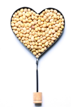 黄豆 爱心黄豆图片