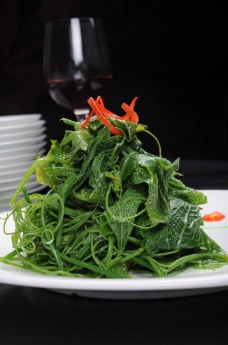 帝王龙须菜图片