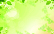 绿树树叶时尚绿背景图图片