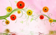 菊花 花纹图片