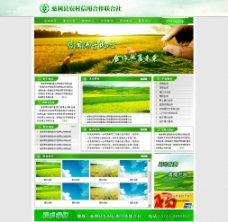 网页模板农村信用社网站模板图片