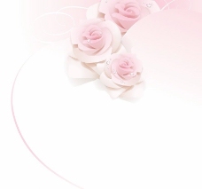 七夕情人节粉色玫瑰水珠水滴婚庆背景图片