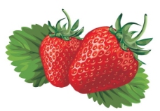 矢量草莓背景素材