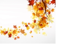 秋天背景秋天树木背景图片
