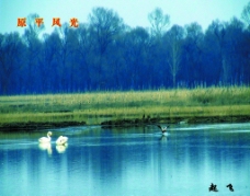 滹沱河美景图片