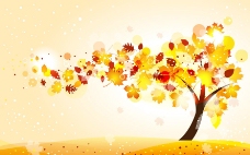 树木树叶动感秋天枫叶树木图片