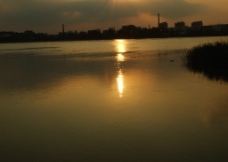 沂河夕阳图片
