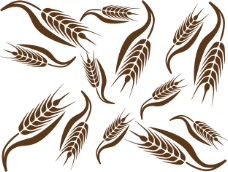 矢量素材小麦简约图形