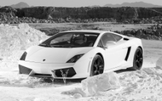 兰博基尼 Lamborghini图片