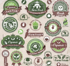 绿色环保生态农业标签图片