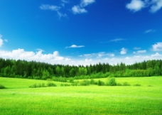 蓝天白云草原树林图片