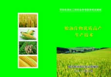 粮食小册小麦画册图片