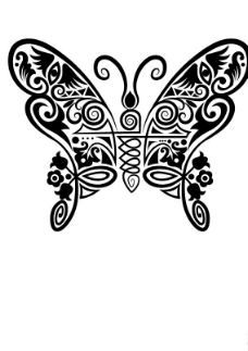 蝴蝶动物花纹素材图片