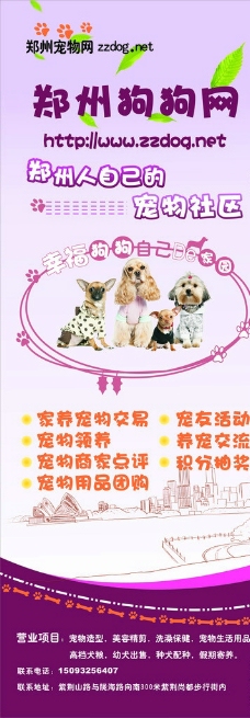 宠物狗宠物海报x展架图片
