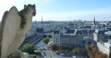 巴黎风景巴黎一角圣母院顶上风景图片