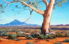 油画 澳大利亚风光图片