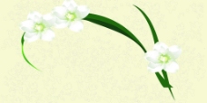 白色花朵墙纸背景图片