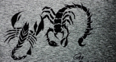 蝎子图片