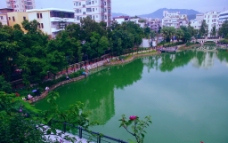 人工湖 深圳横岗社区图片