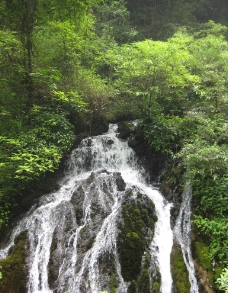 三峡人家自然景观图片