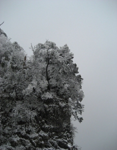 雪压云松图片